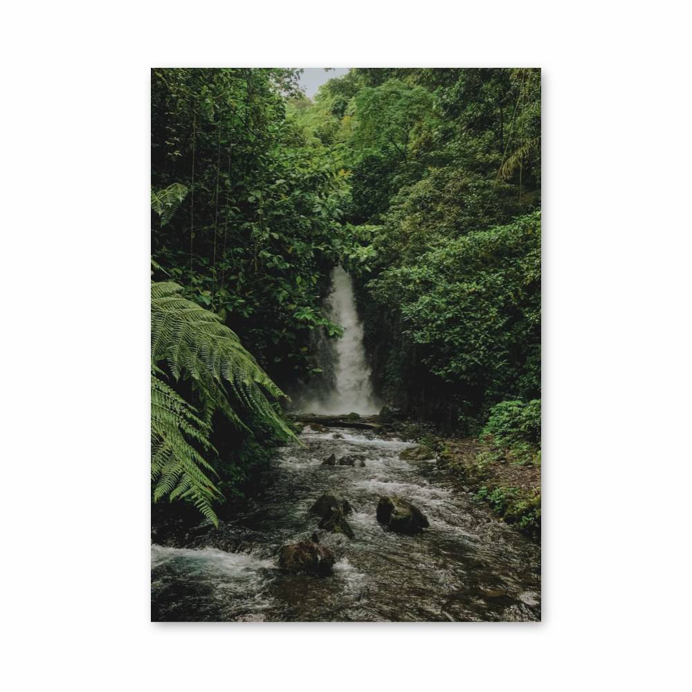 Poster Cascade Jungle
