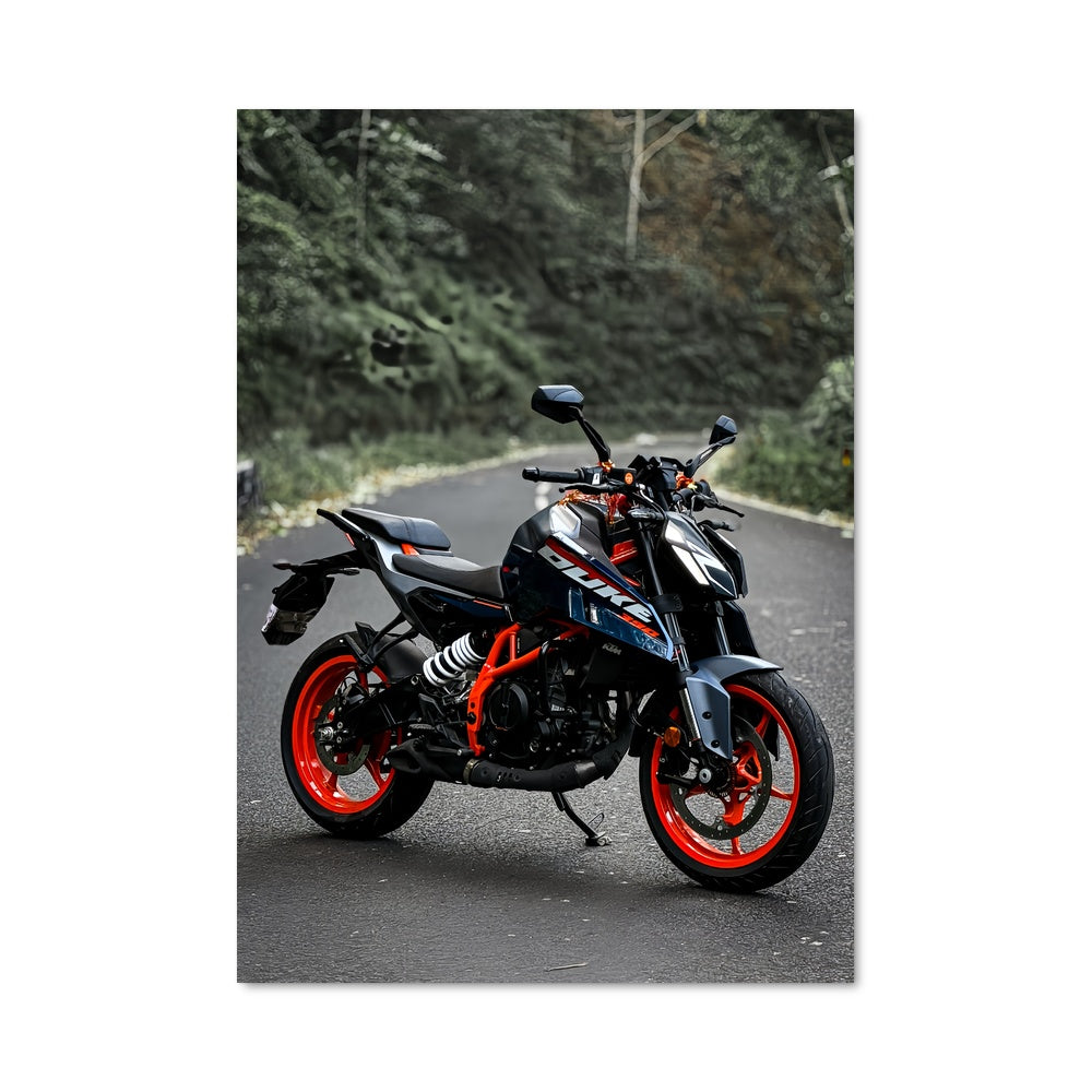 Poster Roadster 390