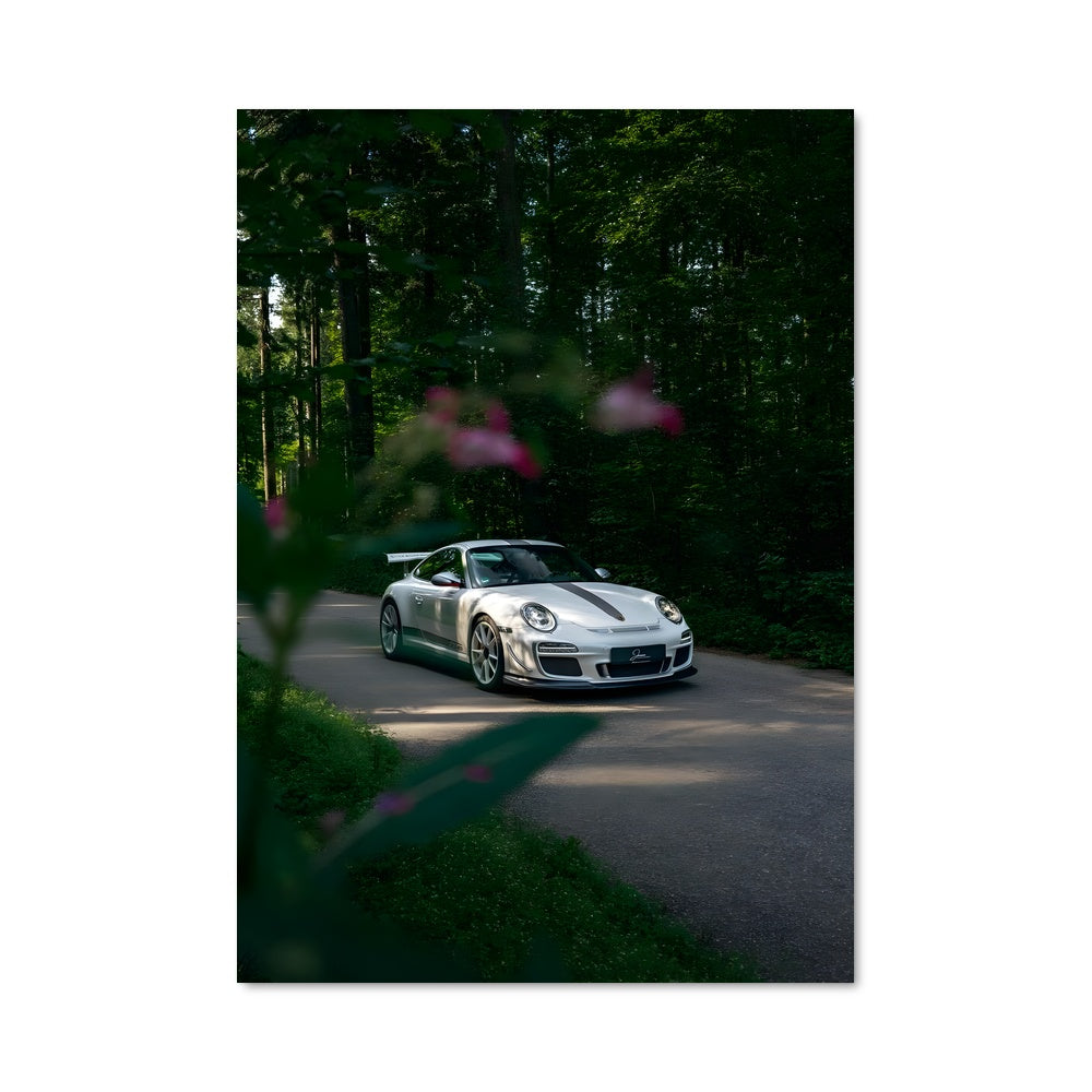 Poster Forêt Sportive