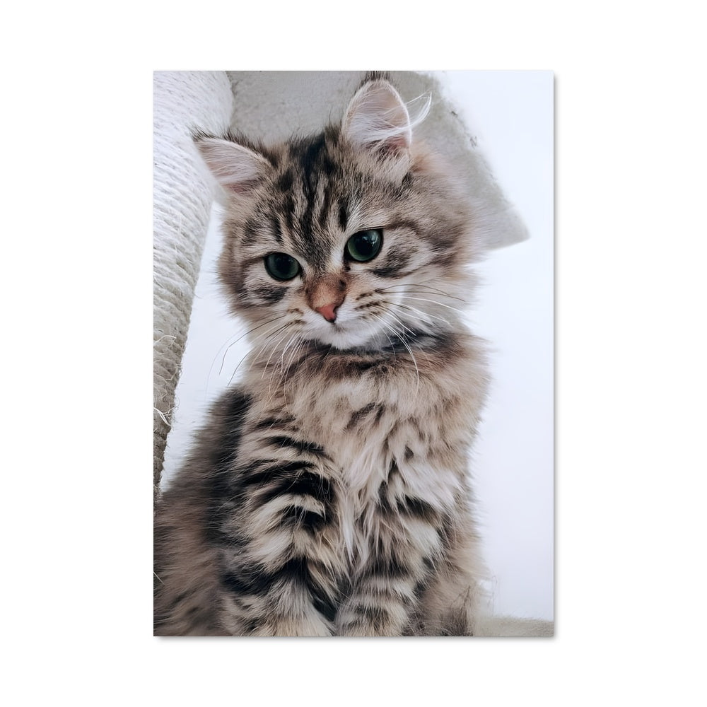 Poster Fluffy Majesty