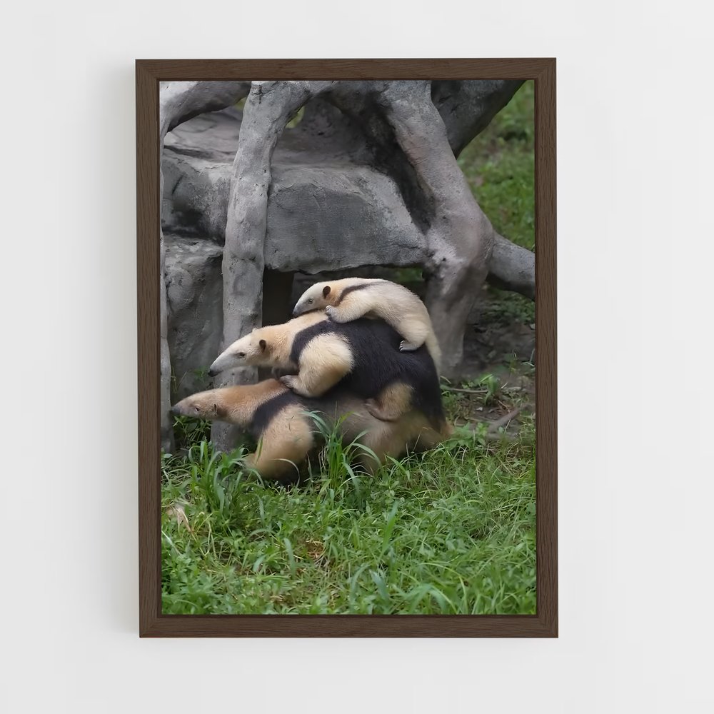 ap-anteater-6 cadre Bois foncé