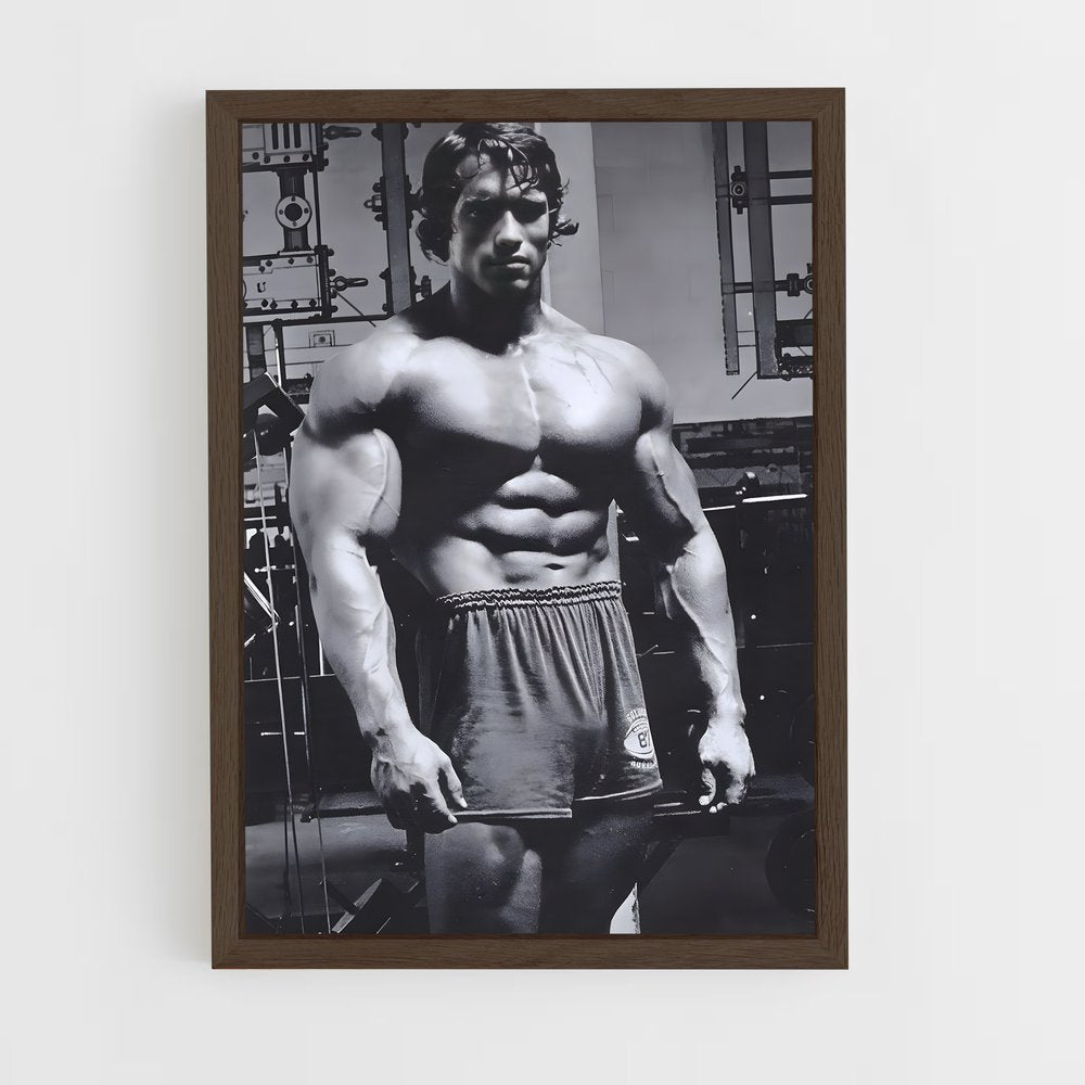 ap-arnold schwarzenegger-4 cadre Bois foncé