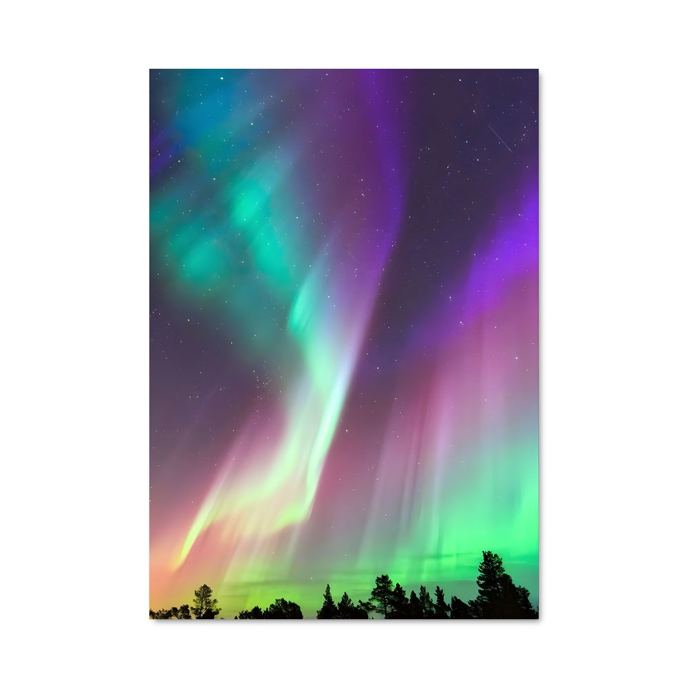 Poster Danses de Lumière