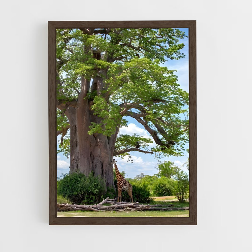 ap-baobab-2 cadre Bois foncé
