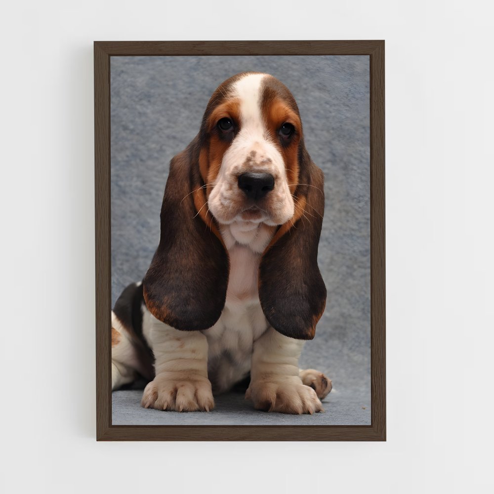 ap-basset hound-1 cadre Bois foncé