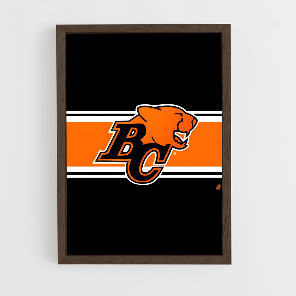 ap-bc lions-4 cadre Bois foncé