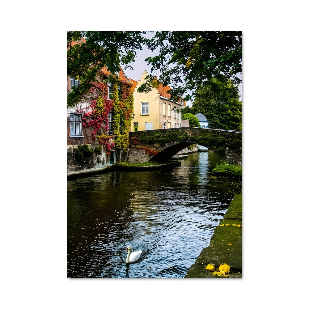 Poster Rivières de Belgique