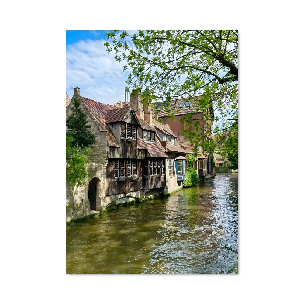 Poster Rêve Provençal