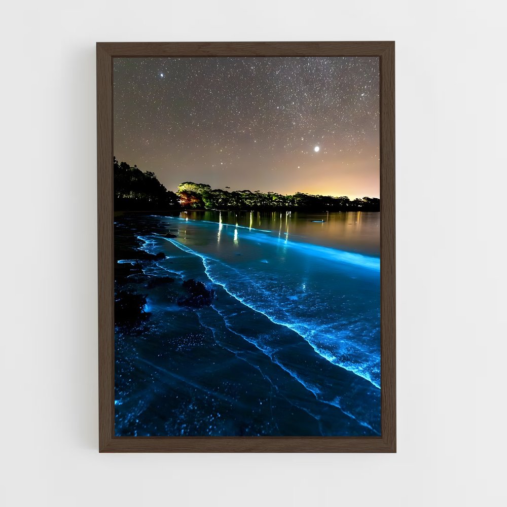 ap-bioluminescent beaches-19 cadre Bois foncé
