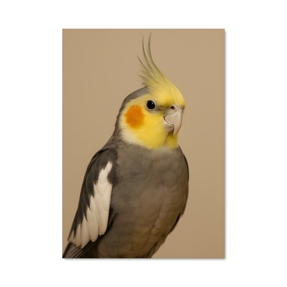 Poster Oiseau Radieux