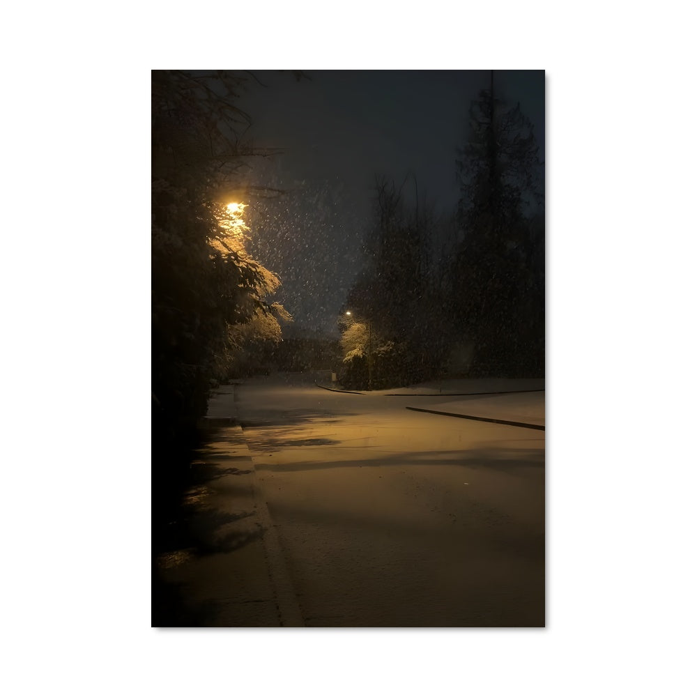 Poster Blizzard 97689