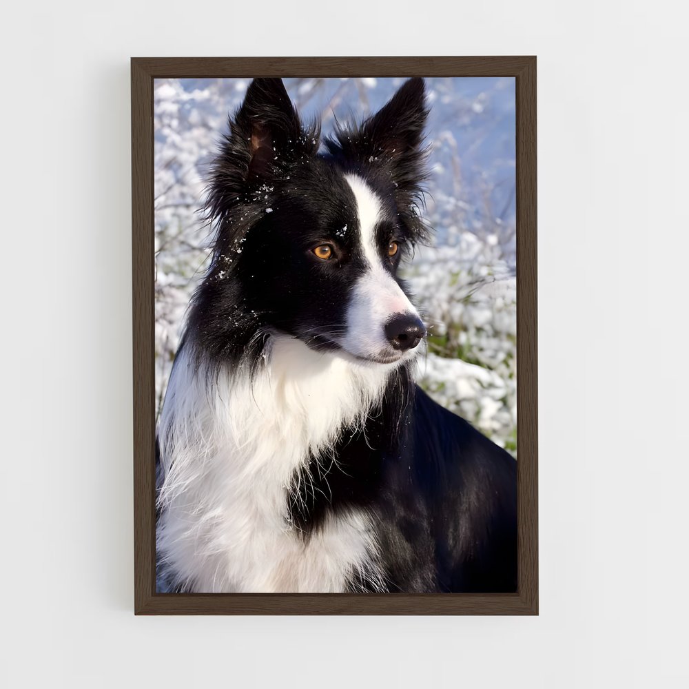 ap-border collie-2 cadre Bois foncé