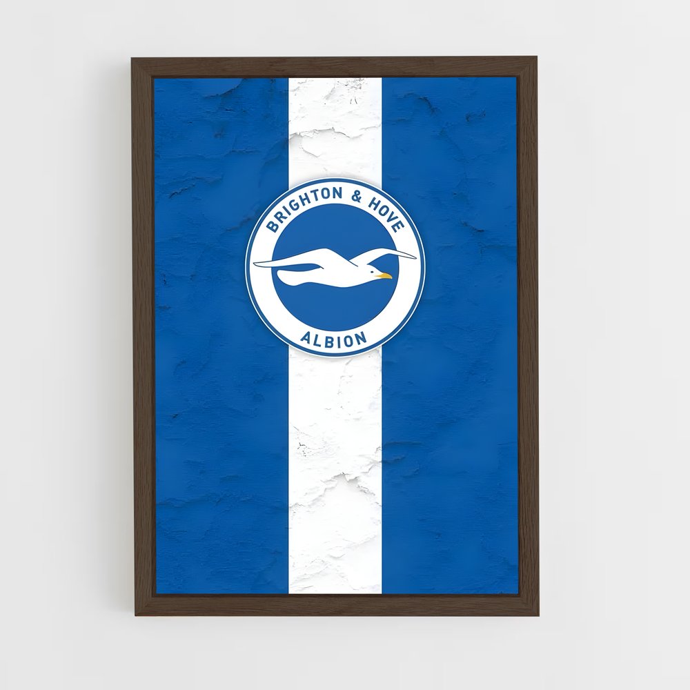 ap-brighton hove albion fc-8 cadre Bois foncé