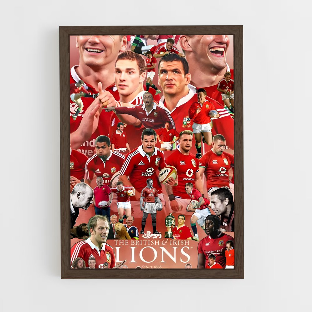 ap-british and irish lions-3 cadre Bois foncé