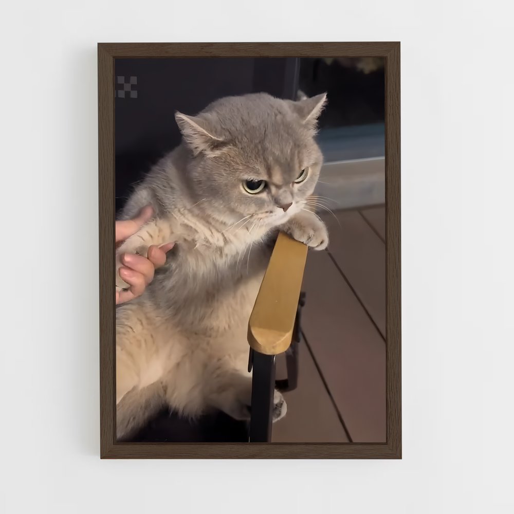 ap-british shorthair-2 cadre Bois foncé
