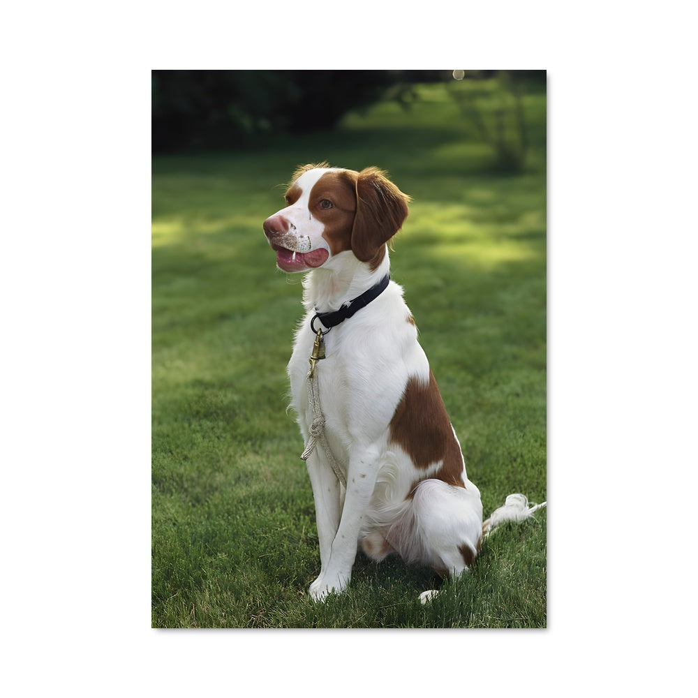 Poster Toutou en Fête