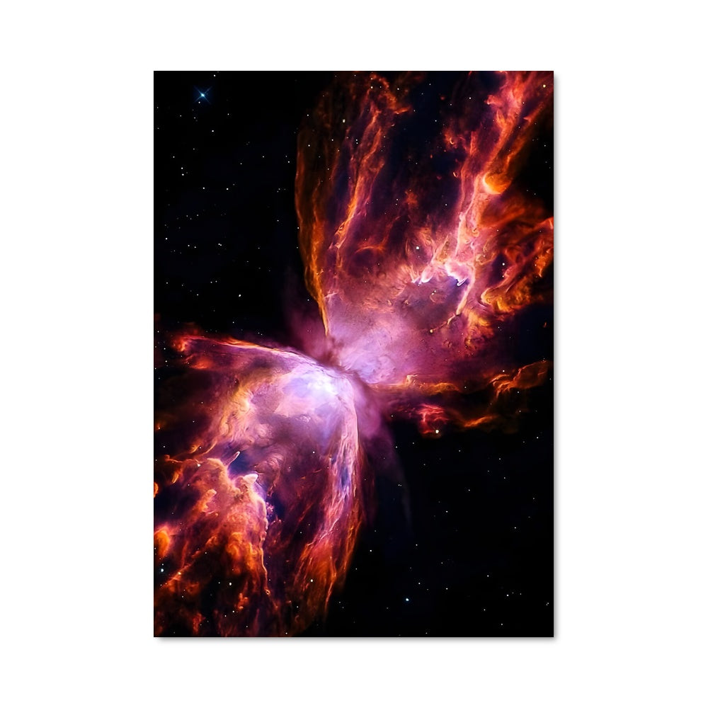 Poster Papillon Cosmique