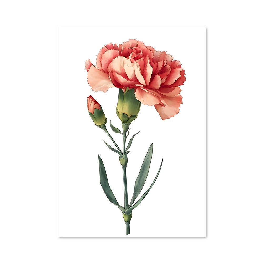 Poster Carnation Élégante