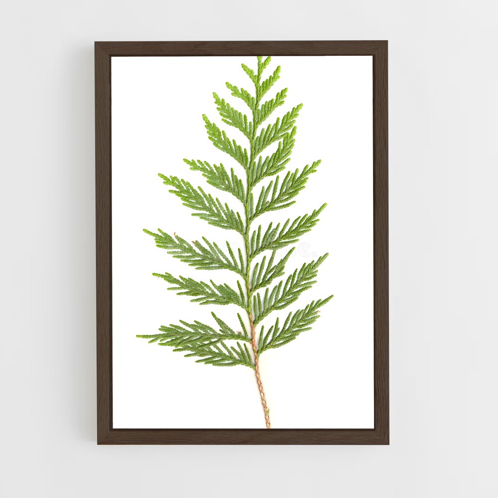 ap-cedar-3 cadre Bois foncé