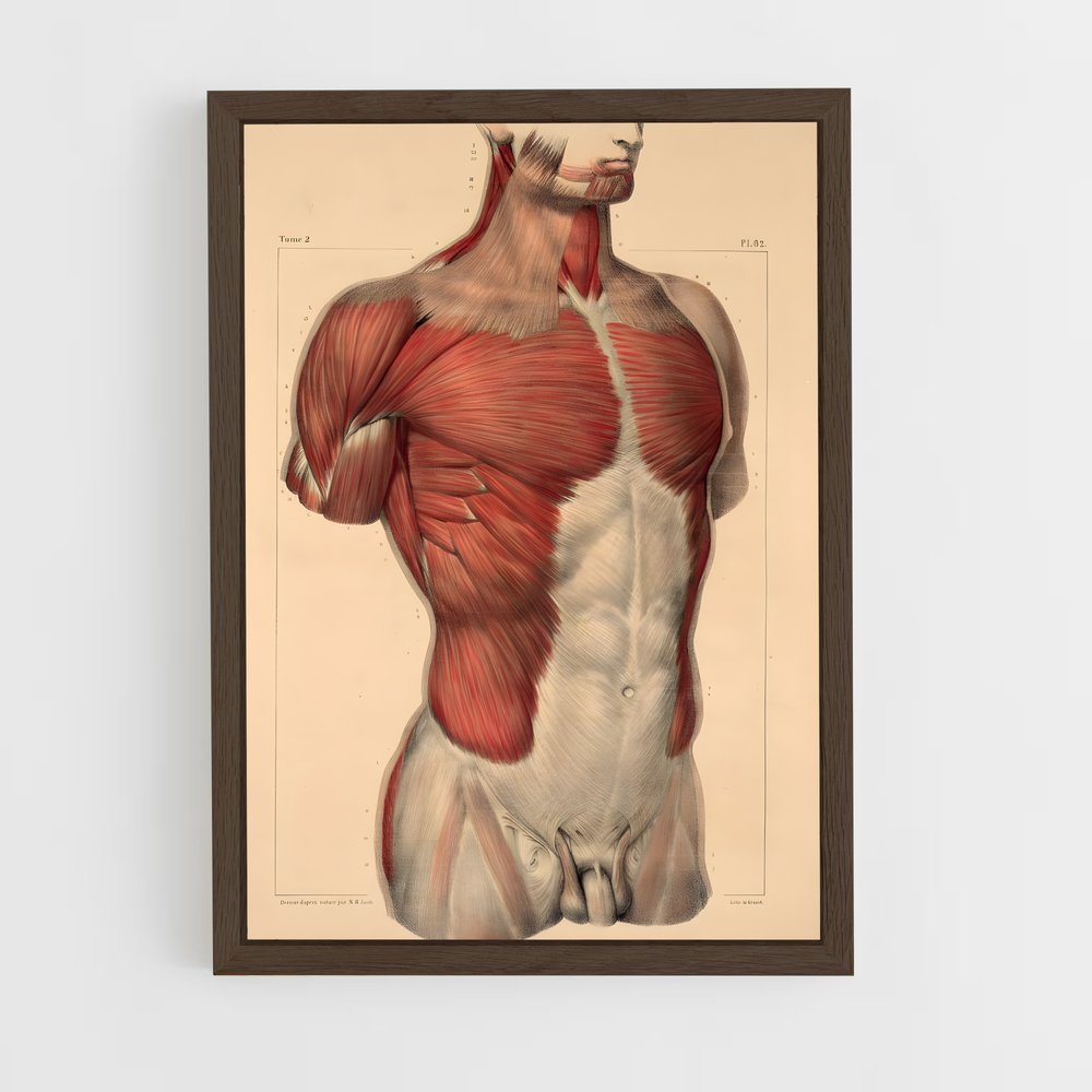 ap-chest-1 cadre Bois foncé