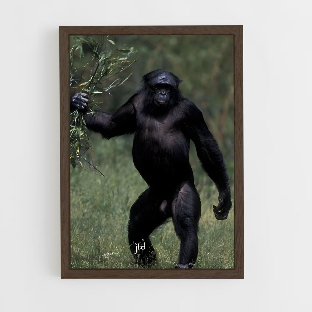ap-chimpanzee-14 cadre Bois foncé