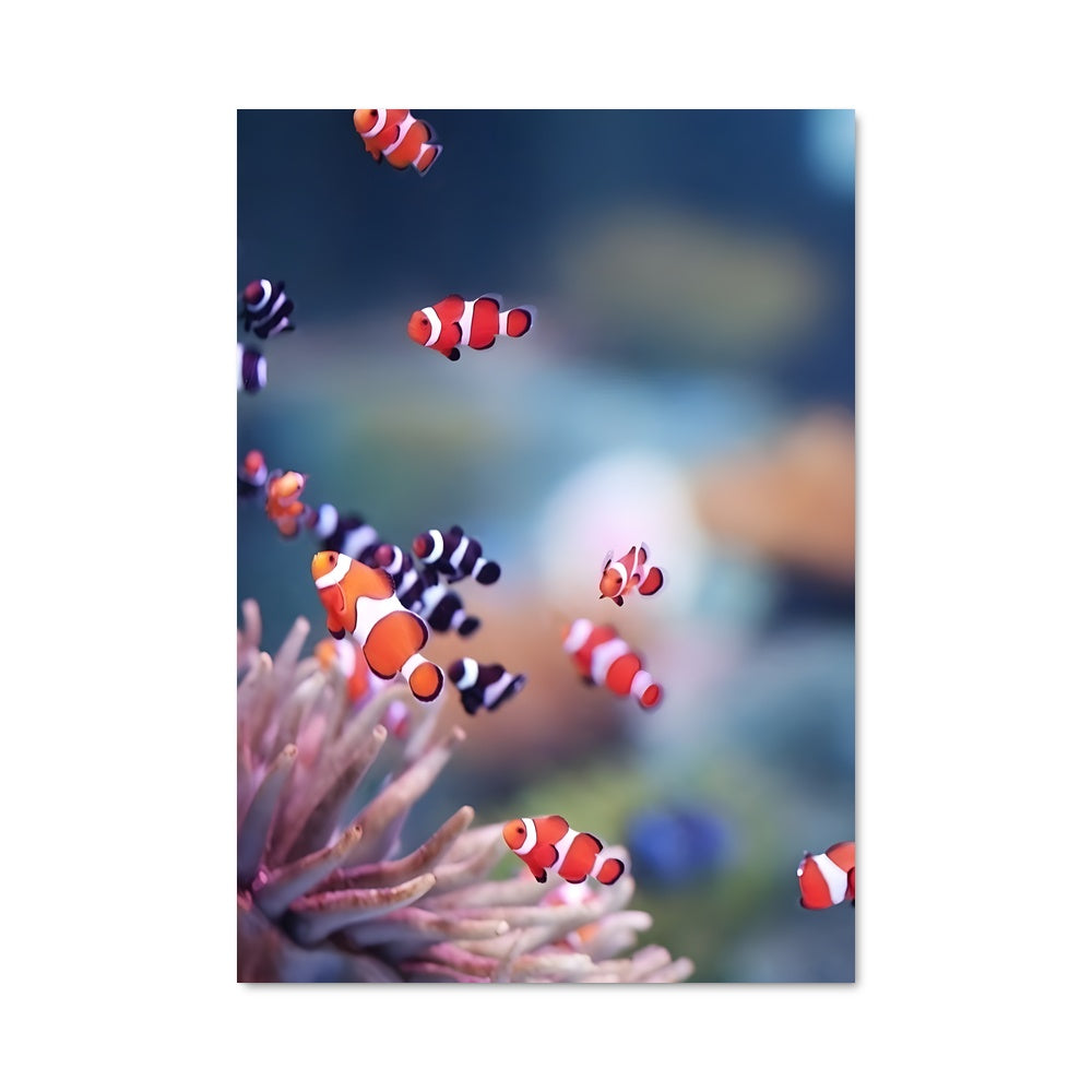 Poster Clown de la Mer