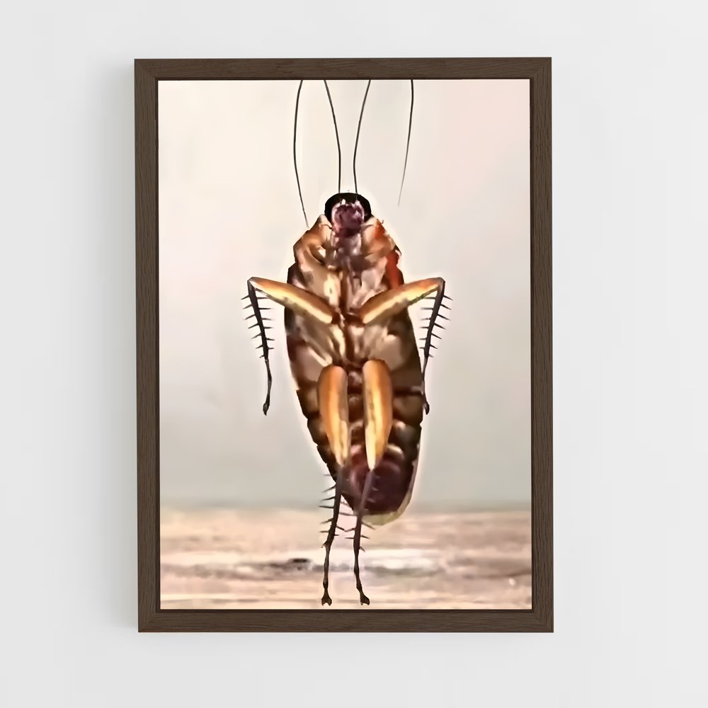 ap-cockroach-2 cadre Bois foncé