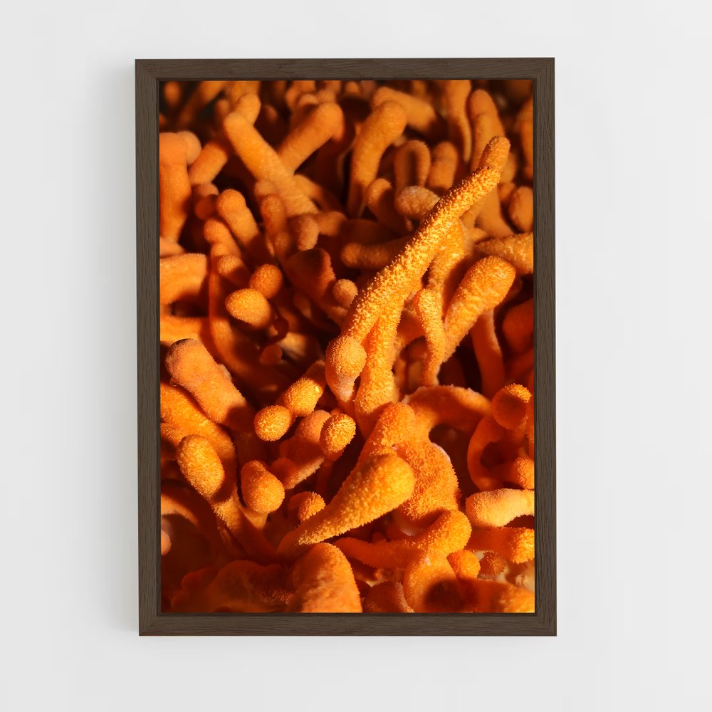 ap-cordyceps-3 cadre Bois foncé