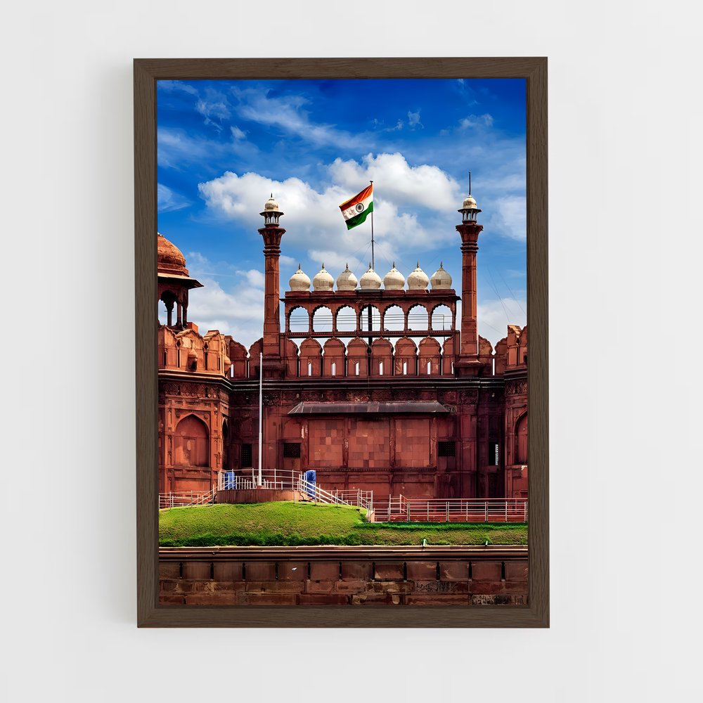 ap-delhi flag-1 cadre Bois foncé