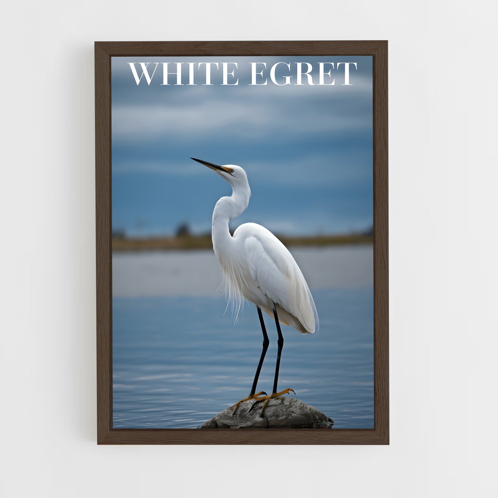 ap-egret-5 cadre Bois foncé