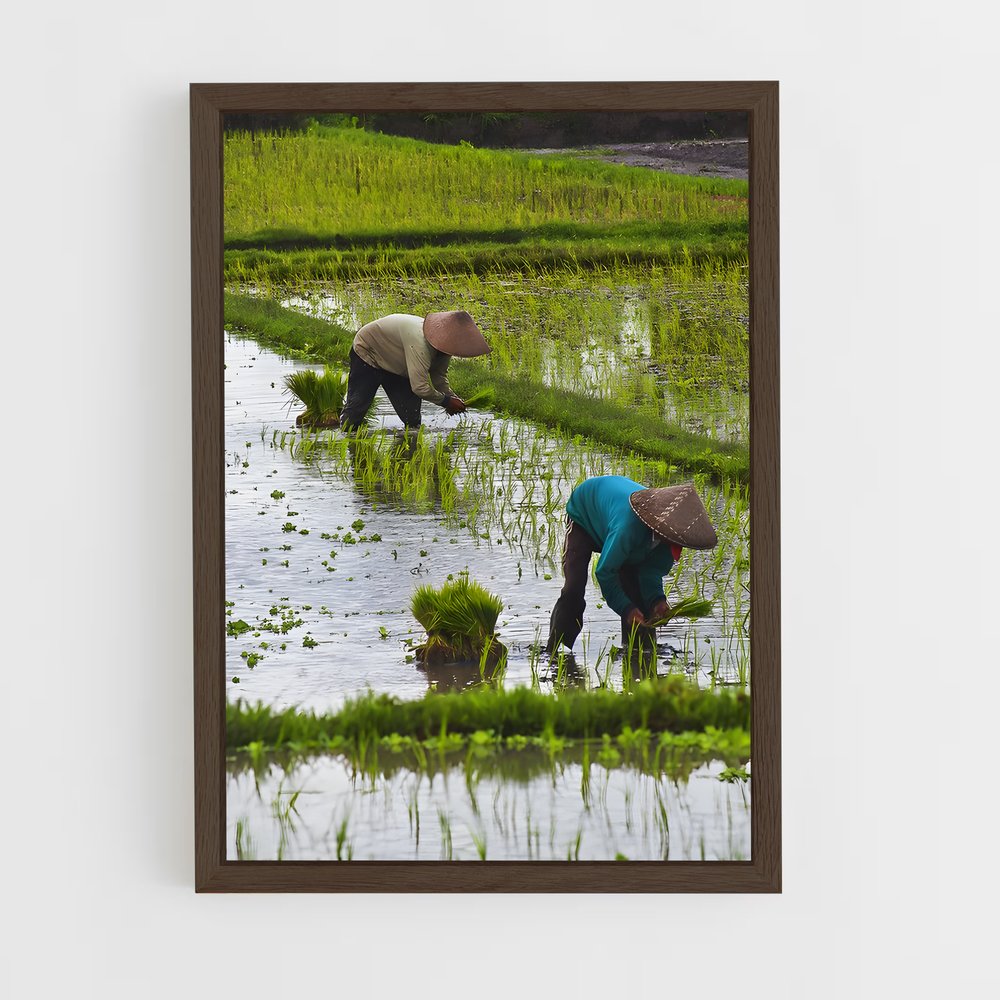 ap-farmer-7 cadre Bois foncé