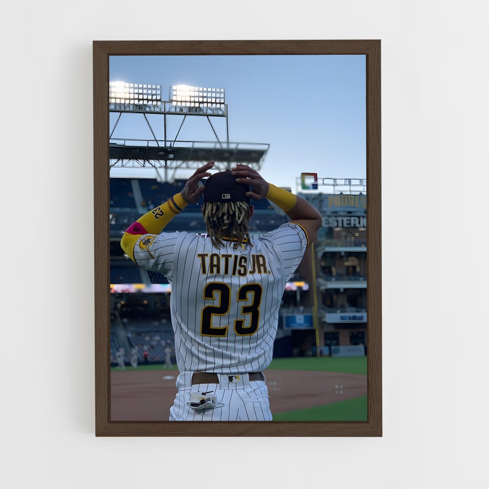 ap-fernando tatis jr-1 cadre Bois foncé