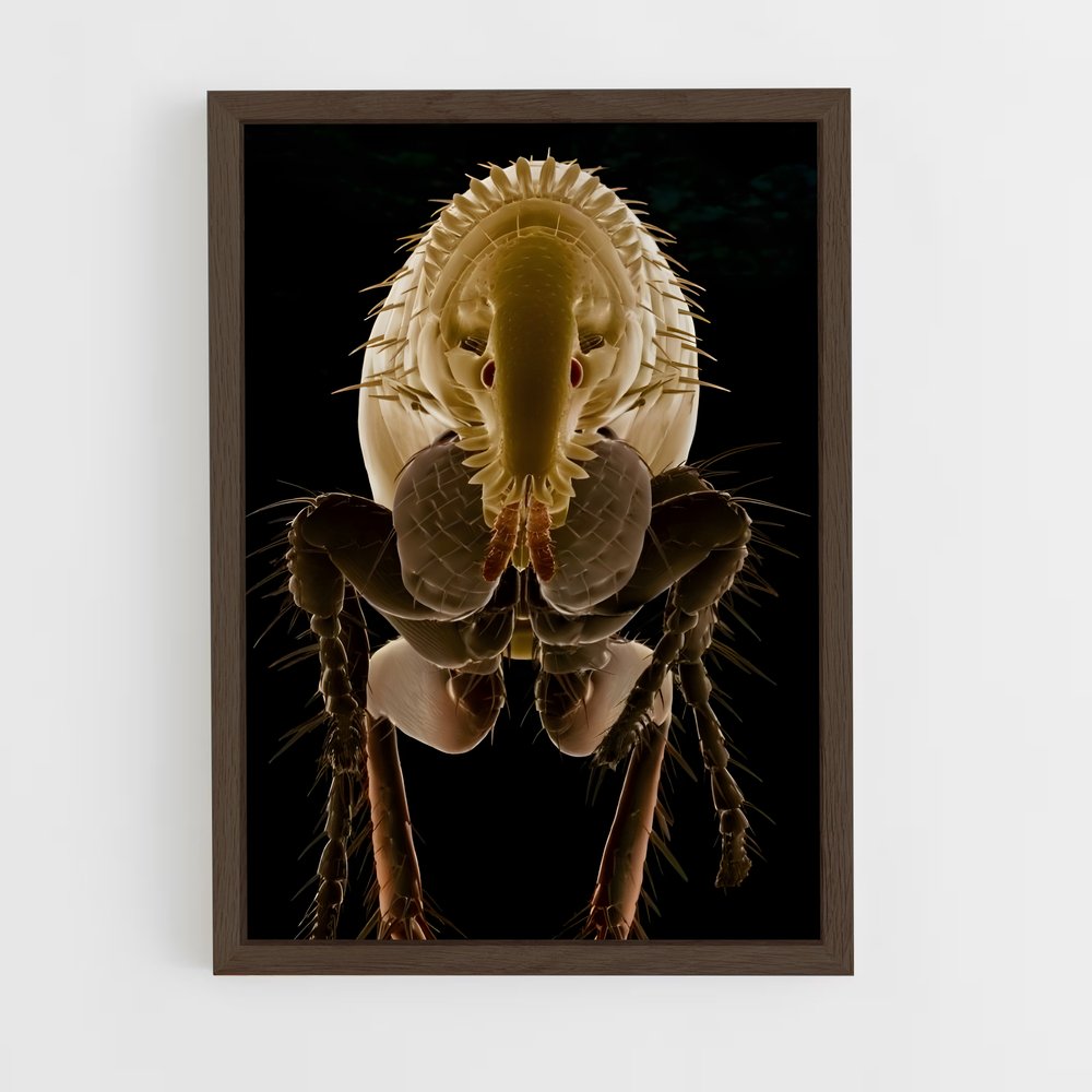 ap-flea-7 cadre Bois foncé