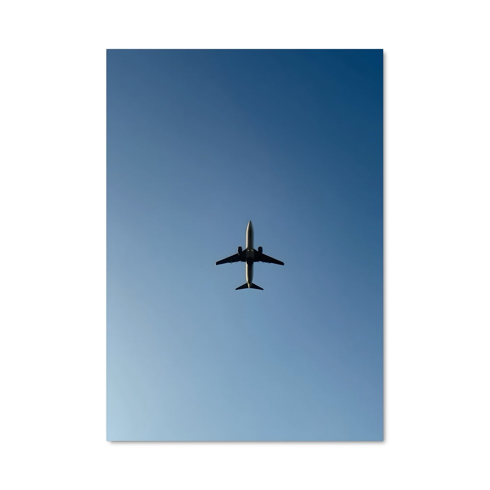 Poster Flying 80617