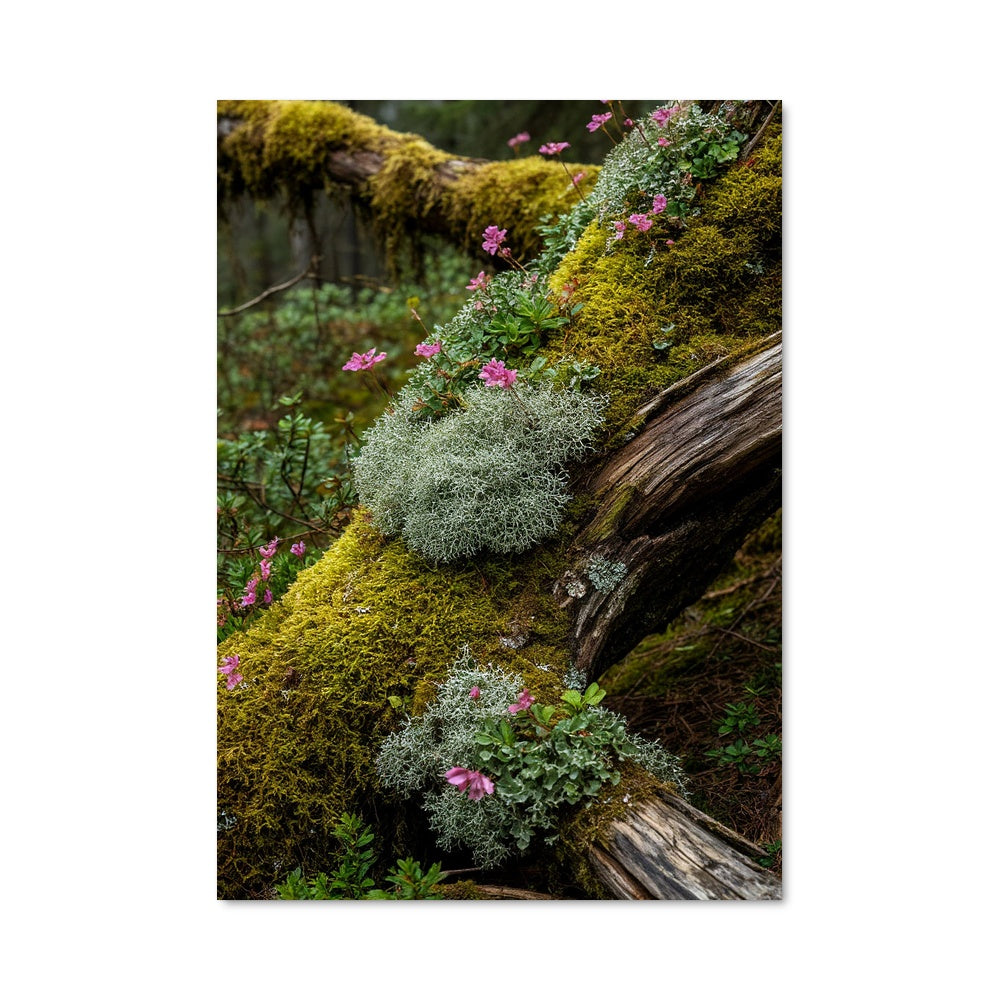 Poster Étreinte de Mousse