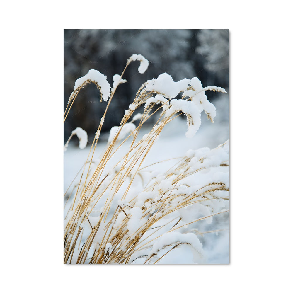 Poster Prairie Enneigée