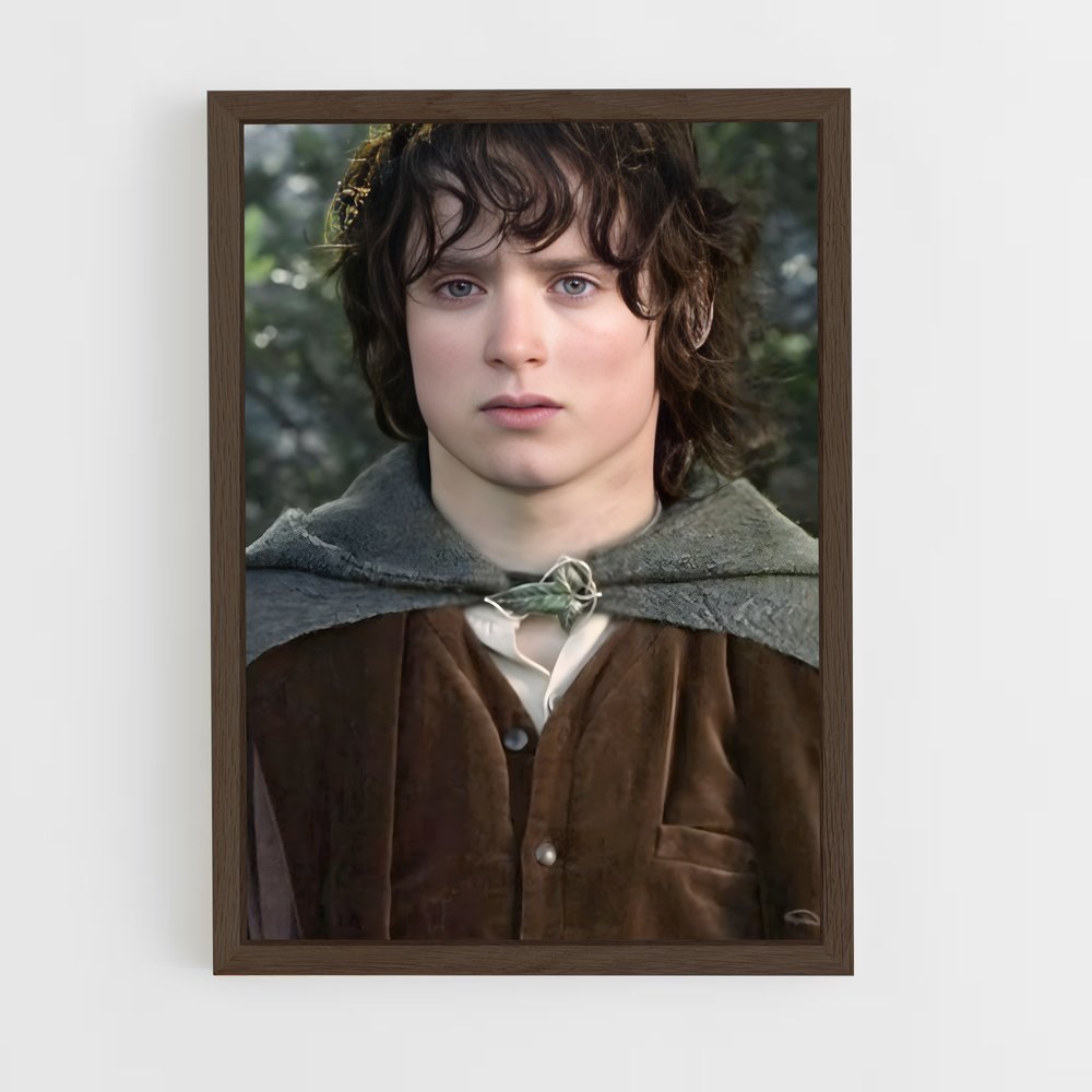 ap-frodo baggins-2 cadre Bois foncé