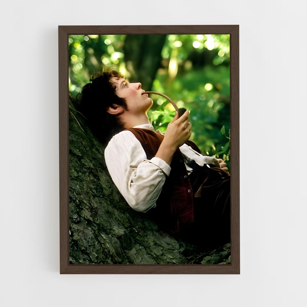 ap-frodo baggins-6 cadre Bois foncé