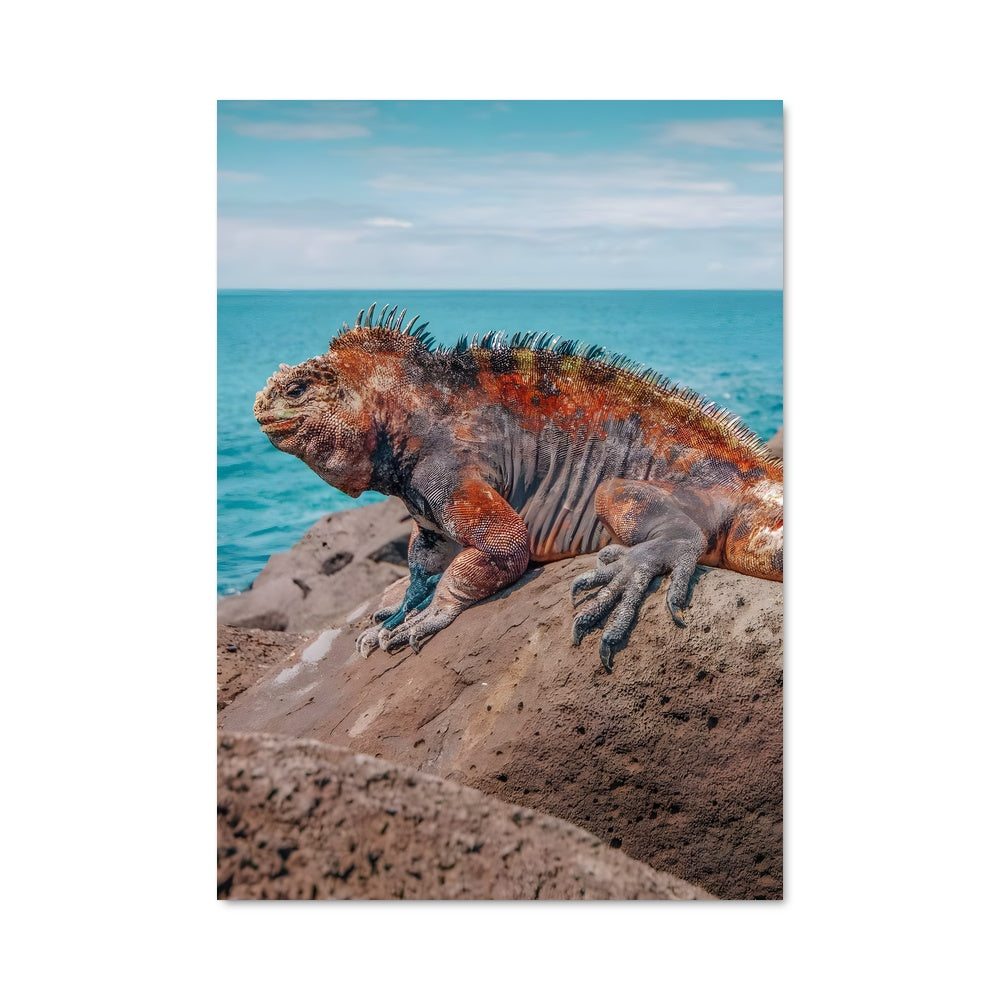 Poster Iguane des Galapagos