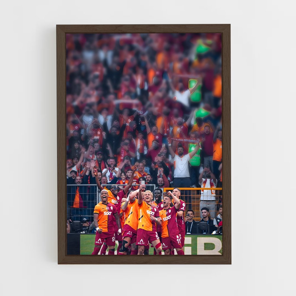 ap-galatasaray sk-9 cadre Bois foncé