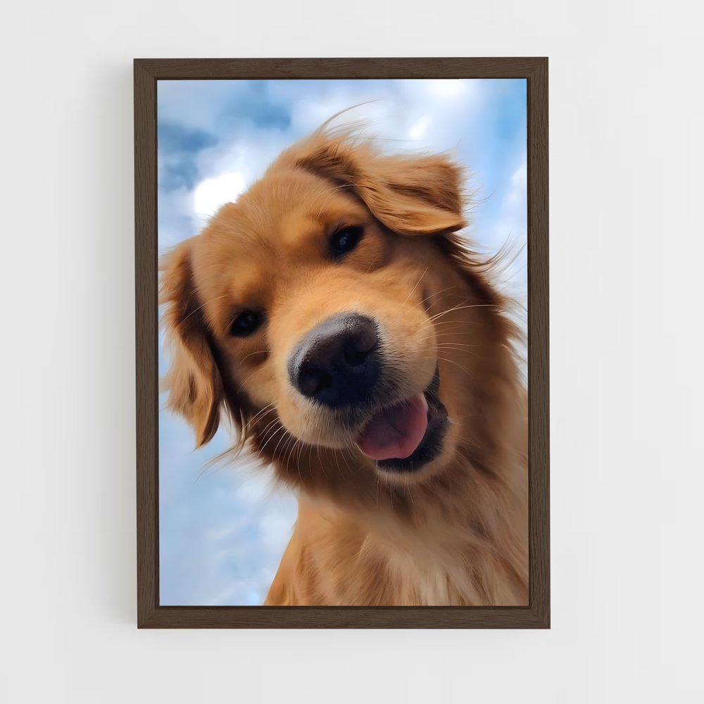 ap-golden retriever-2 cadre Bois foncé