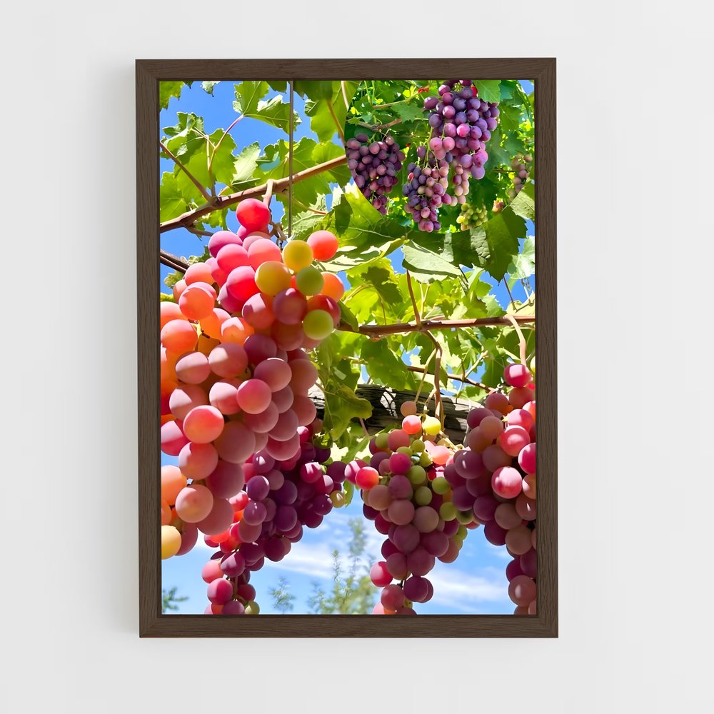 ap-grapes-3 cadre Bois foncé