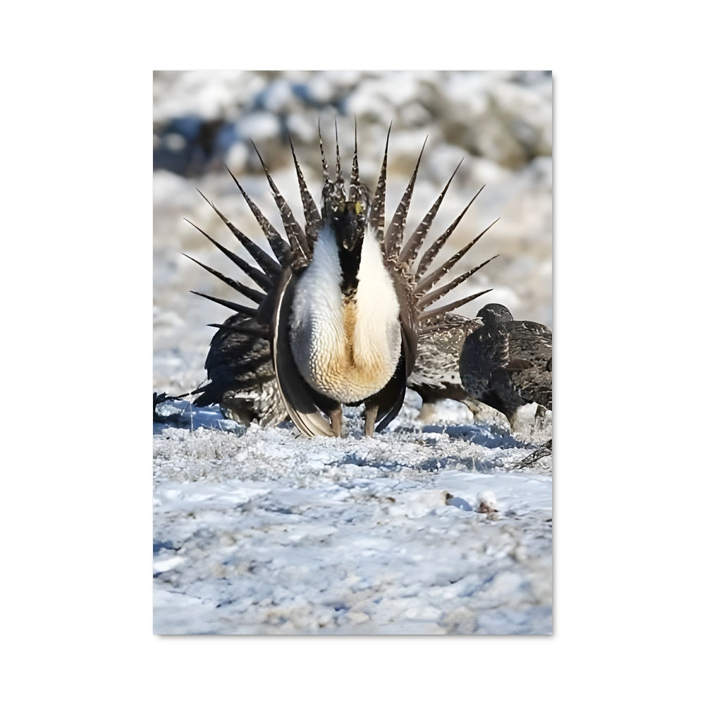 Poster Tête Dans Le Sable