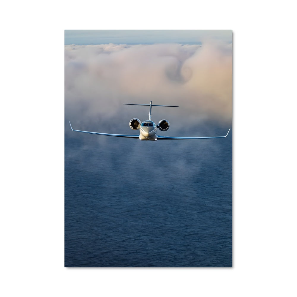 Poster Vol Océanique