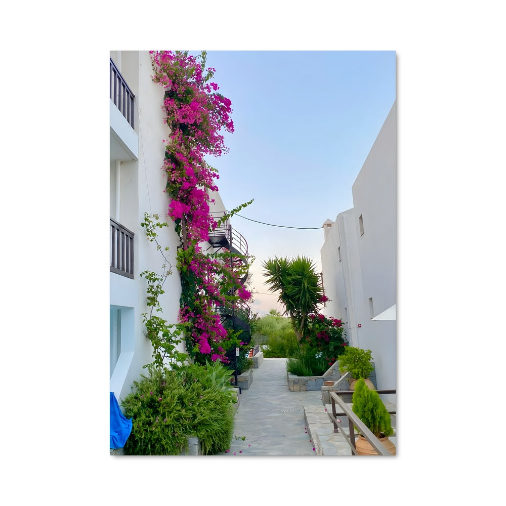 Poster Chemin Fleuri