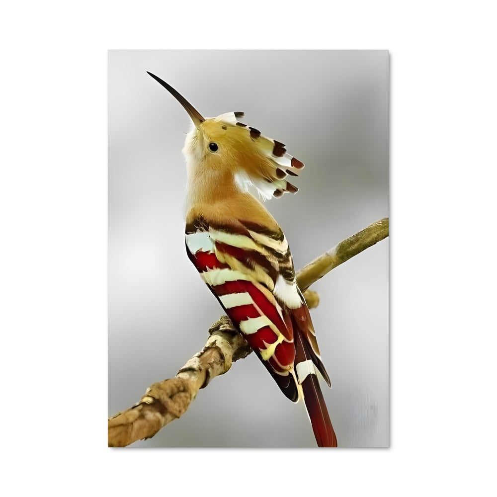 Poster Le Pic Étonnant