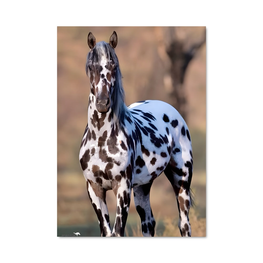 Poster Tacheté de Liberté