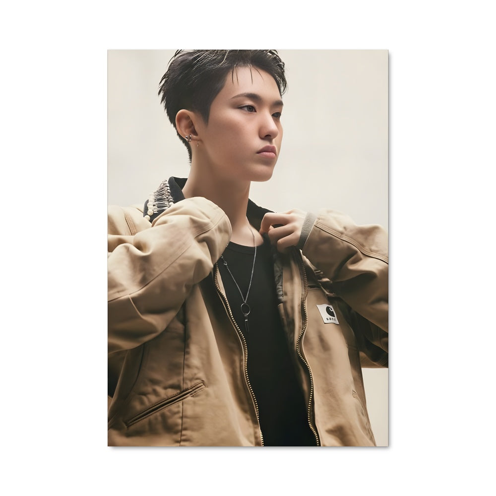 Poster Hoshi 49327