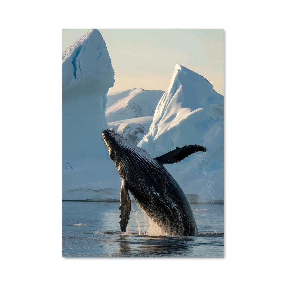 Poster Humpback whale 83760