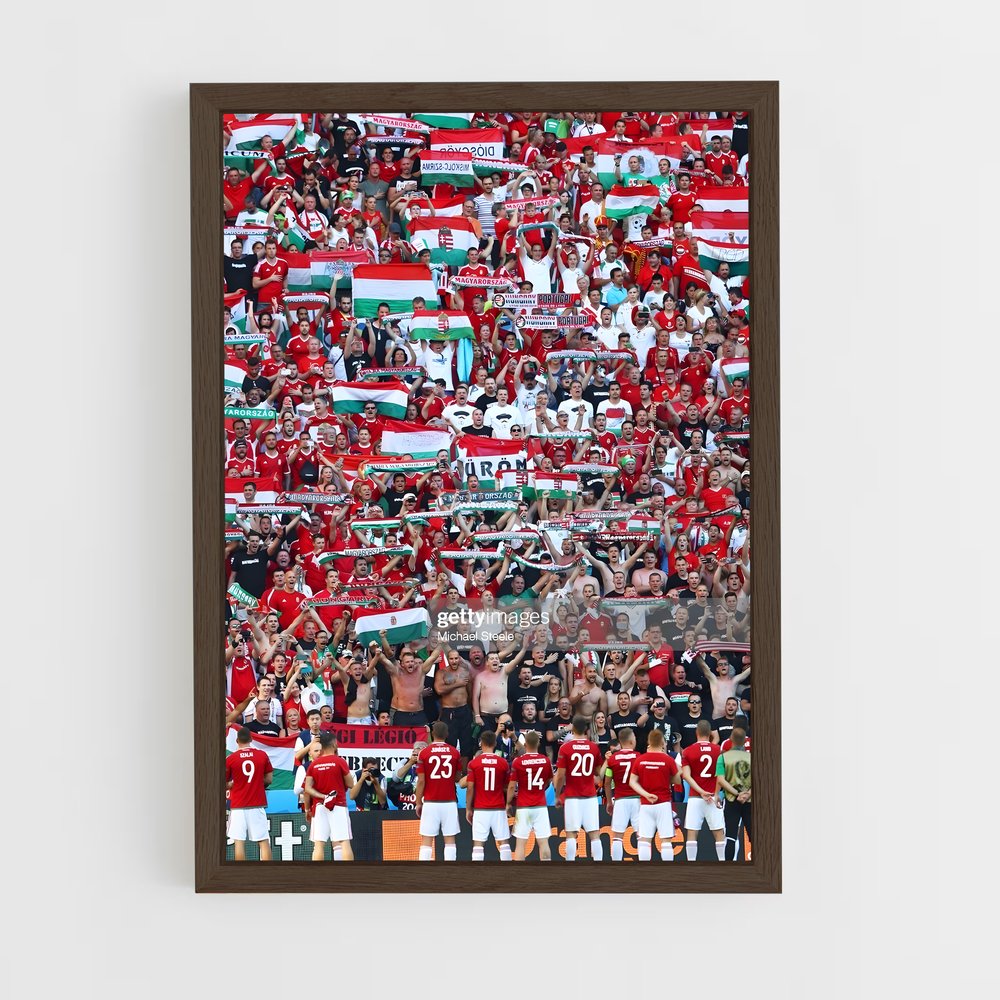 ap-hungary national football team-1 cadre Bois foncé